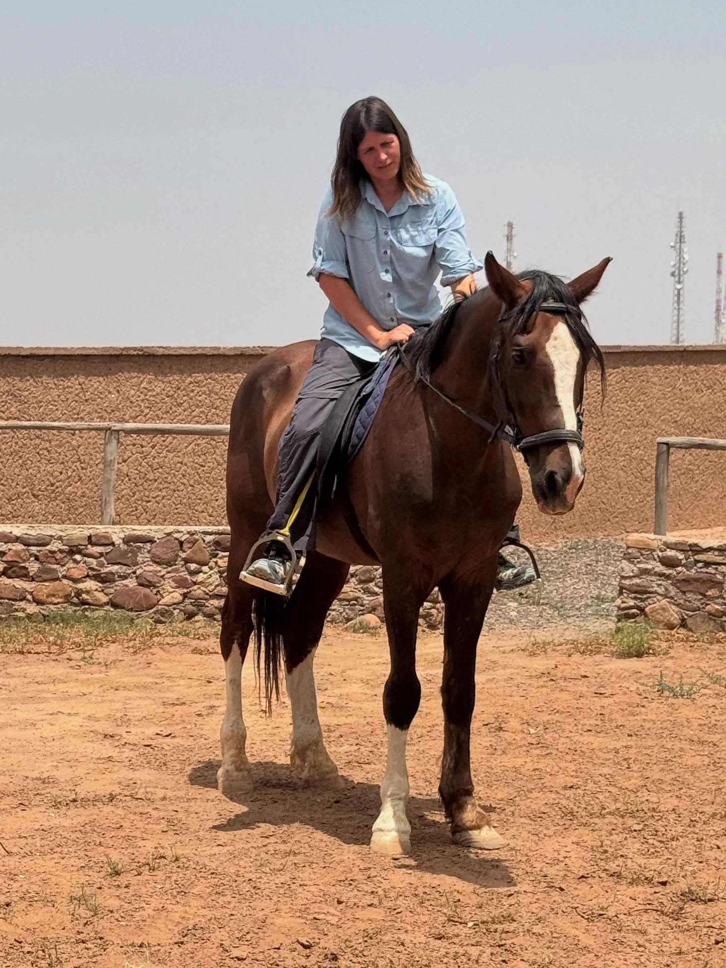 Ellen Cochrane riding Gladiator at Jarjeer with no bit in his mouth