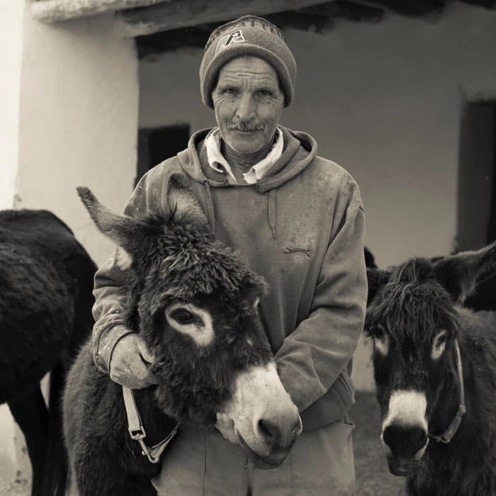 A carer holding a donkey close at the Jarjeer refuge