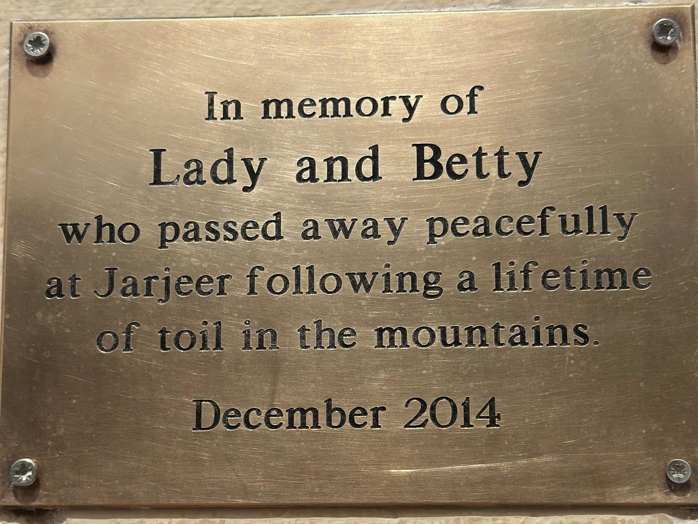 Brass plaque at the hospital stables: In memory of Lady and Betty, who passed away peacefully at Jarjeer following a lifetime of toil in the mountains. December 2014.