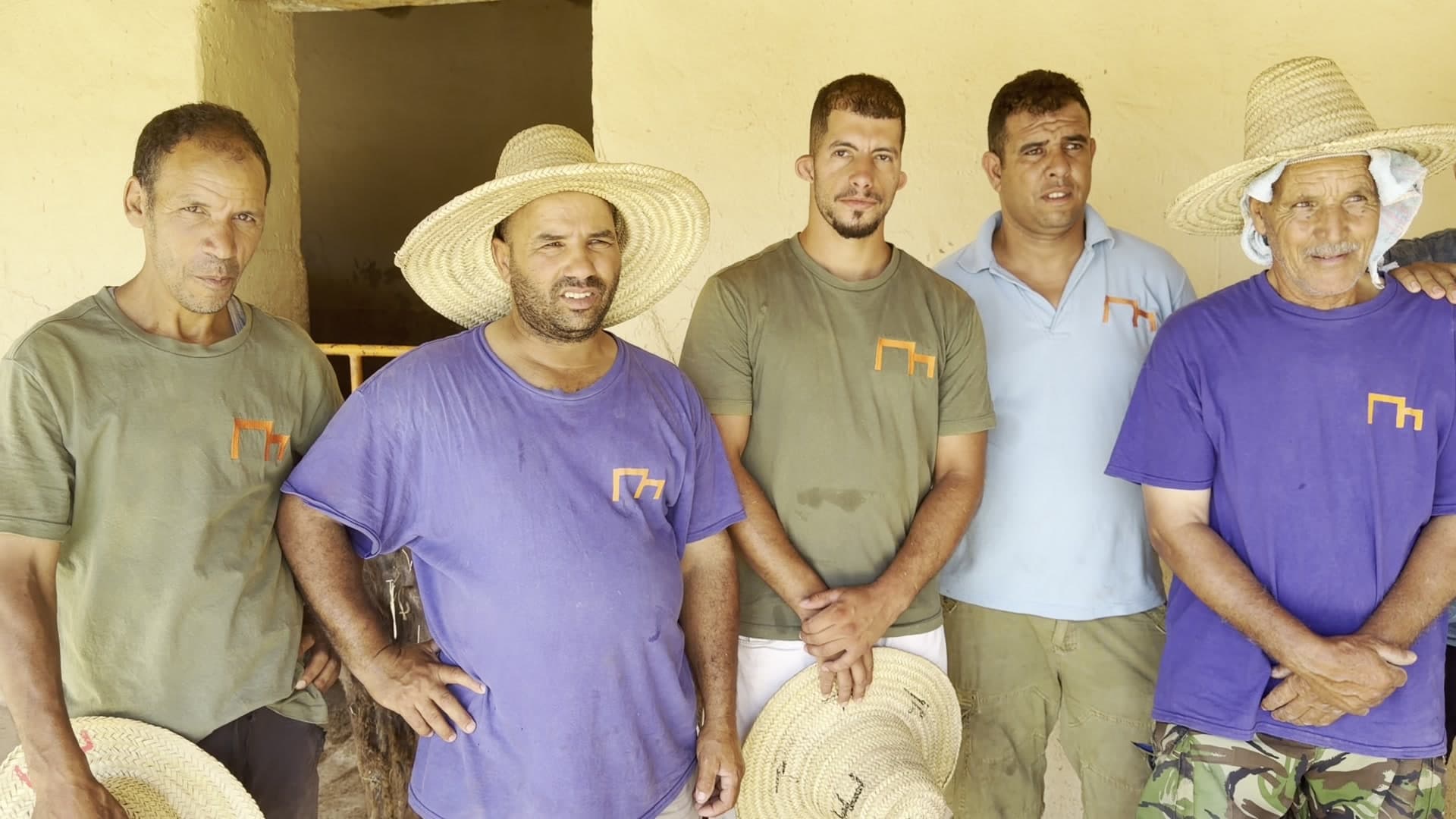 Five of the Jarjeer team standing together outside the stables in work shirts and straw hats